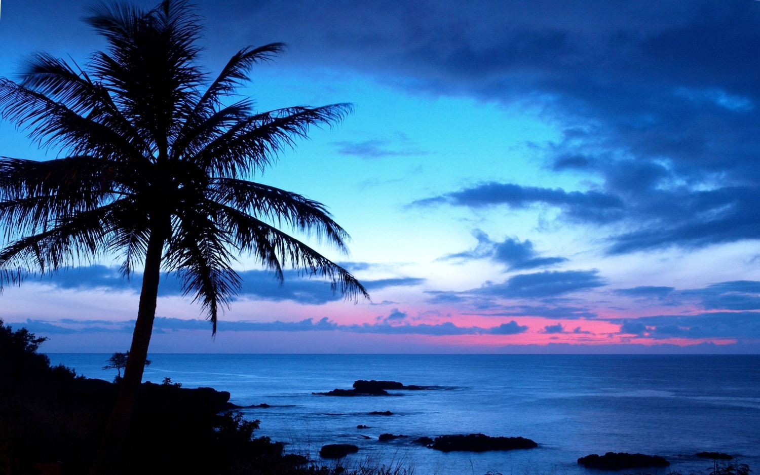 A palm tree overlooking the ocean in Hawaii. Accompanying text reads: "Live Your Music. Blue Hawaii."